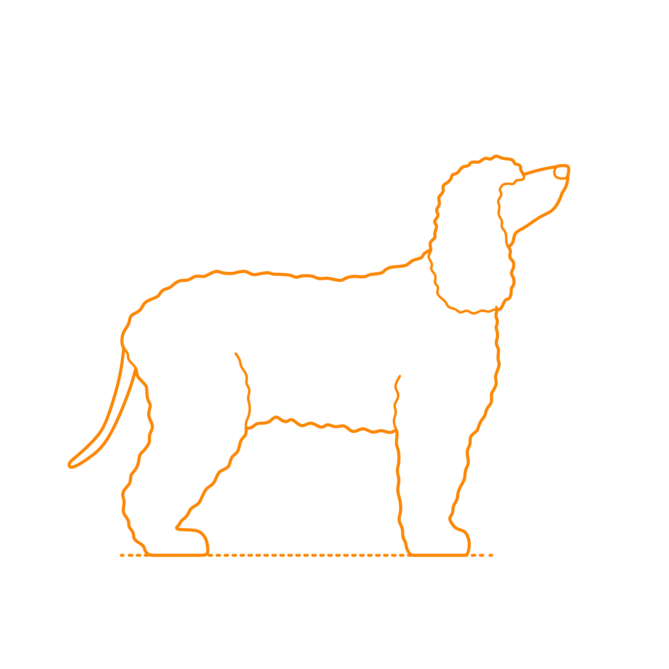 Animals Dogs Irish Water Spaniel Outline Svg File Free Vectors
